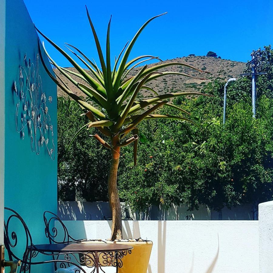 Avatara Bed & Breakfast Le Cap Extérieur photo